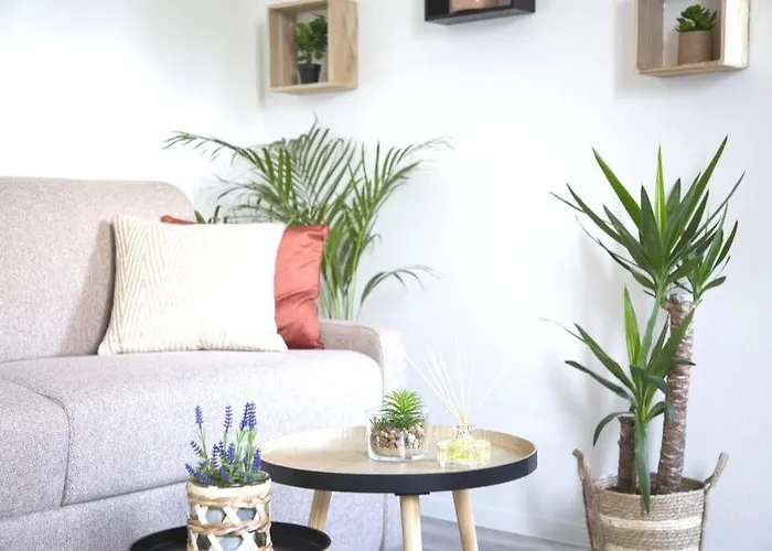 L'authentique *studio *parking Prive* *wifi*calme Appartement Lourdes